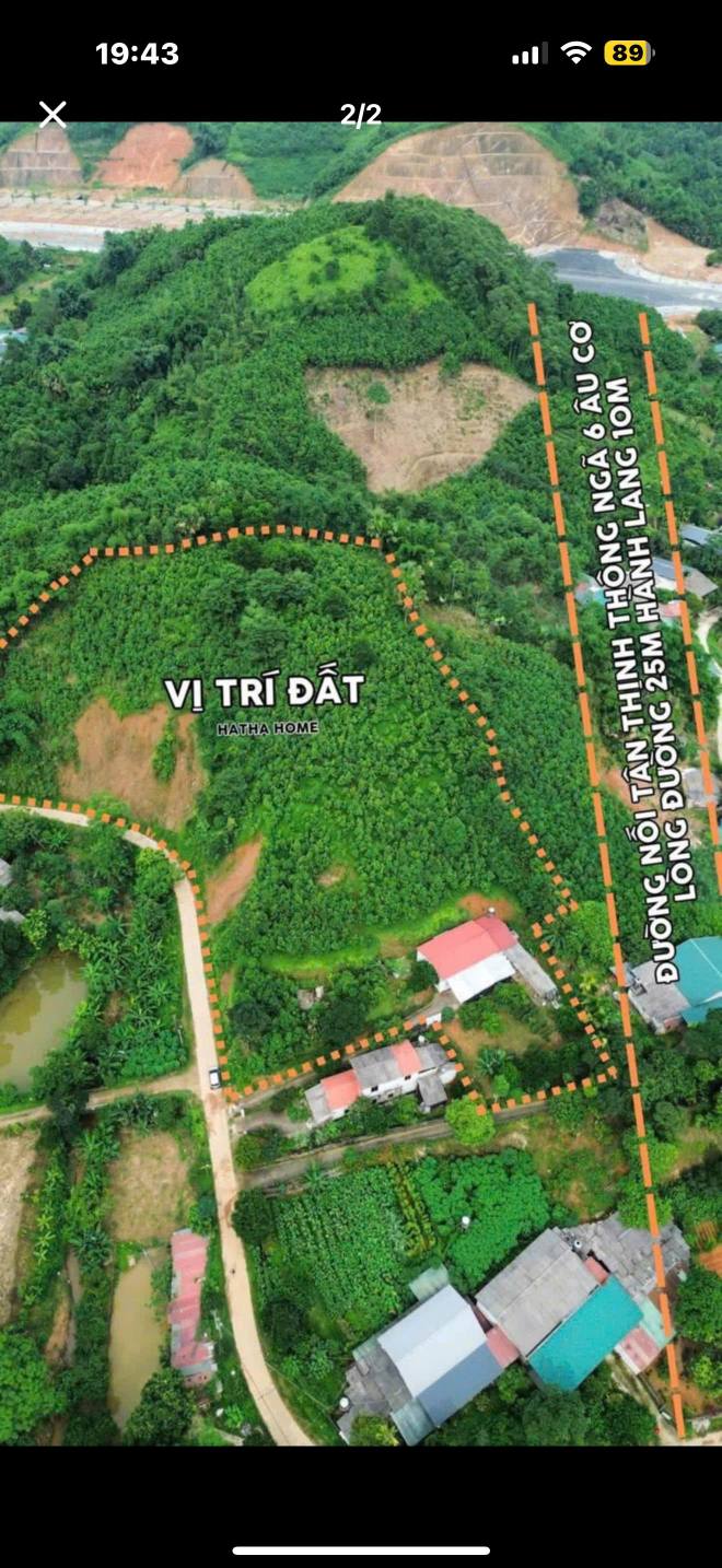 Farm 8000m² tại Tân Thịnh - Văn Chấn giá chỉ 3.6 tỷ - Đầu tư sinh lời cao!