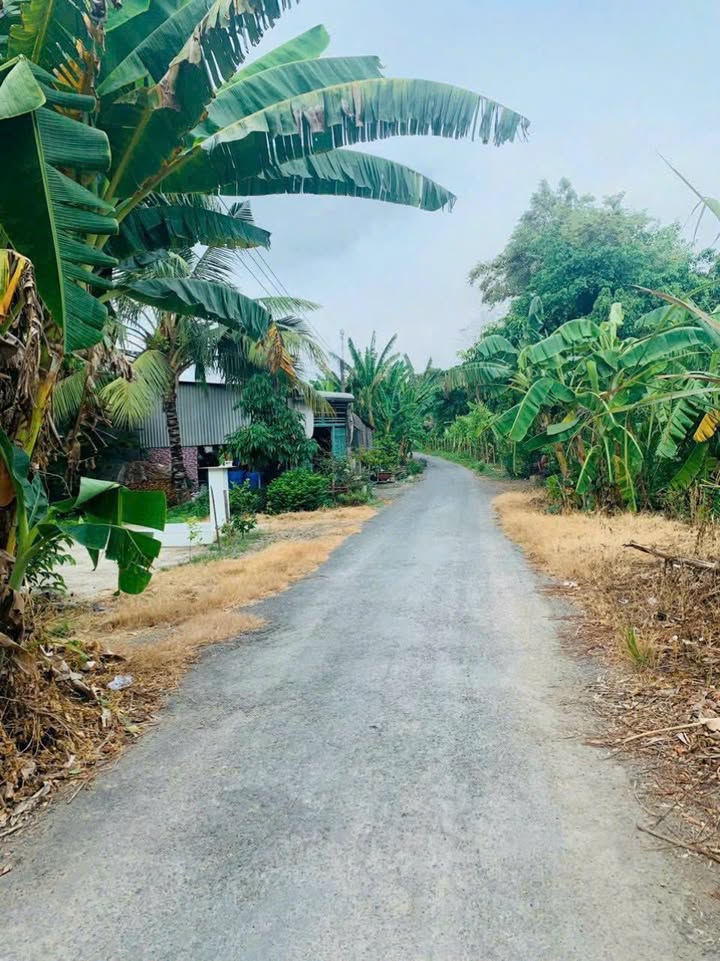 Đất thổ cư 5.174m² tại xã Vĩnh Chánh, huyện Thoại Sơn - Giá chỉ 1.8 tỷ!