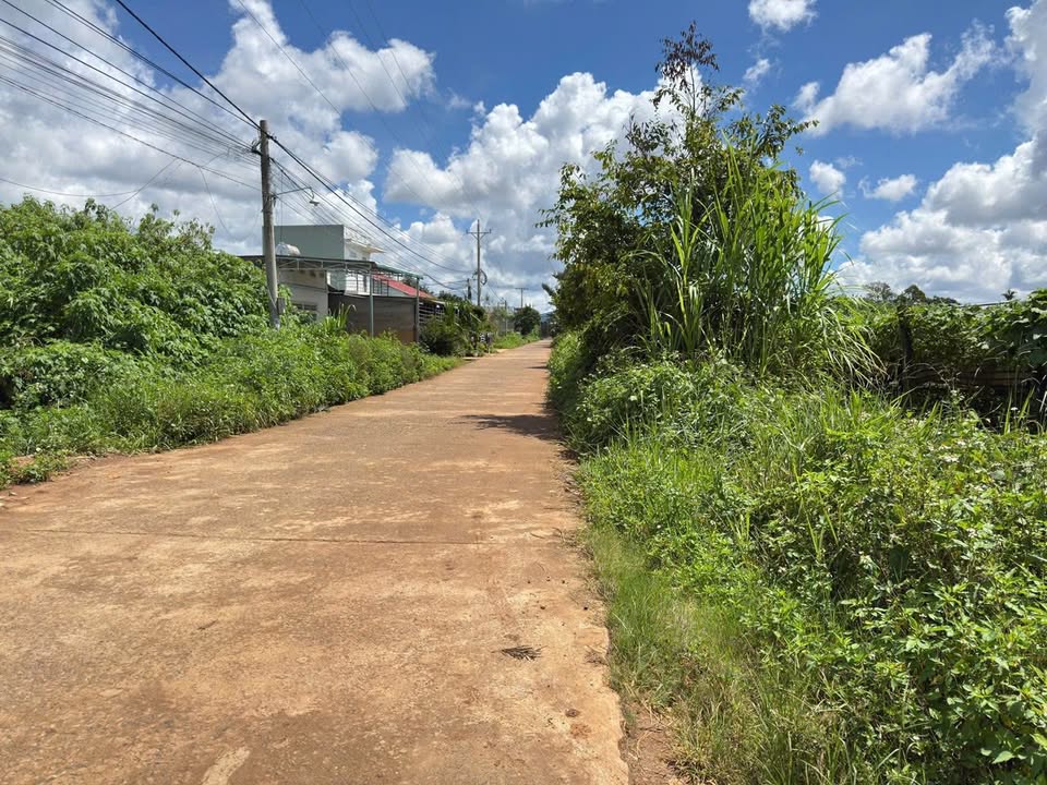 Đất nền Hiệp Thạnh, Lâm Đồng - Diện tích 276m² giá 1.56 tỷ - Đầu tư sinh lời ngay!