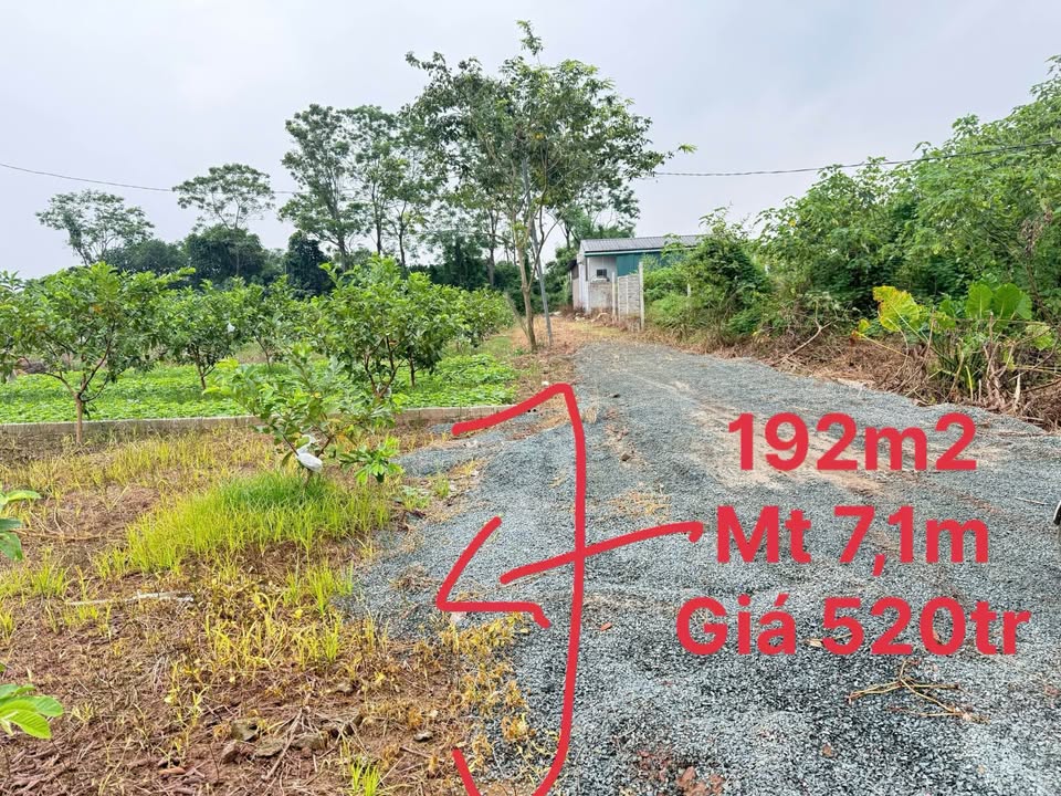 Đất nền Sài Sơn Quốc Oai 192m² giá 500 triệu - Cơ hội đầu tư hấp dẫn!