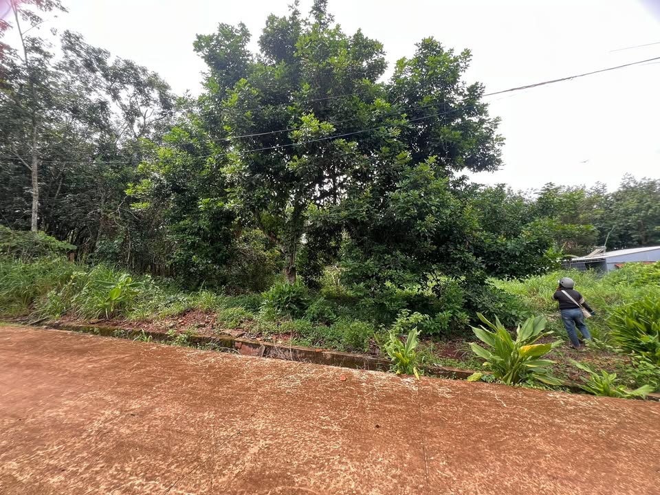 Đất nền 300m² tại Ấp 5 Lộc Thái - Giá chỉ 450 triệu, cơ hội đầu tư tuyệt vời!