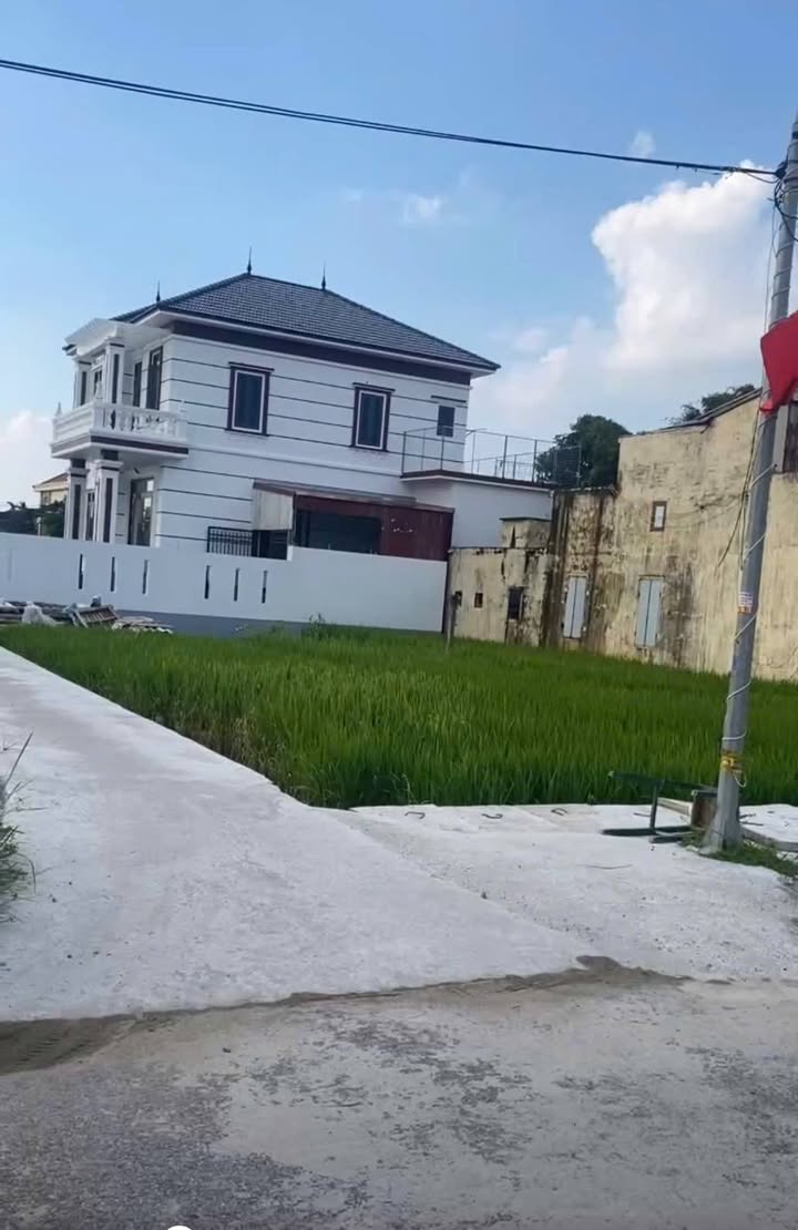 Đất mặt tiền đường Thống Nhất, Giao Phong 250m² - Giá tốt, vị trí đắc địa!