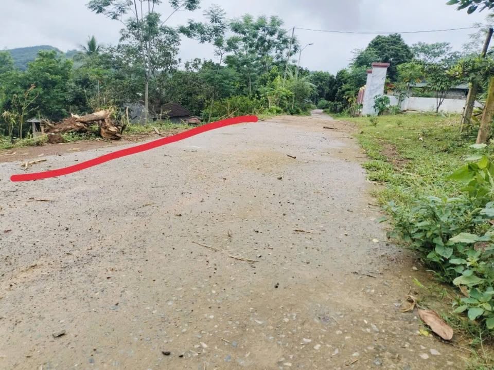 Đất nền liền kề Quốc lộ Cẩm Tâm, Cẩm Thủy, 125m² - Giá chỉ 100 triệu!