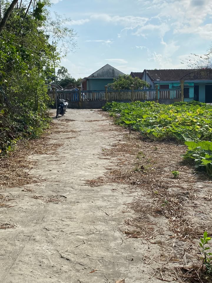 Đất nền Bình Sa Thăng Bình 600m² giá 900 triệu - Đầu tư sinh lời ngay!