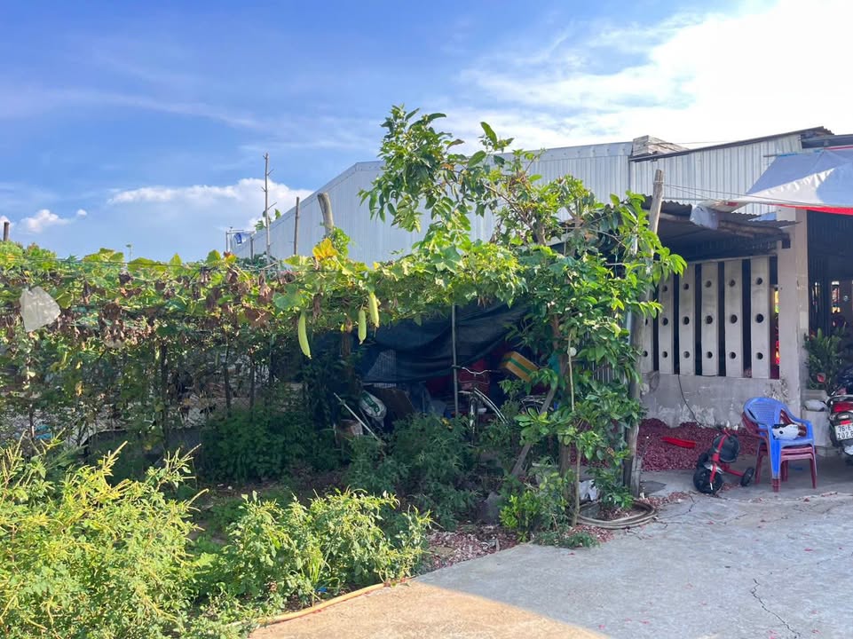 Đất nền Điện Hòa 90m² giá 1.1 tỷ - Vị trí gần trường Việt Hàn!