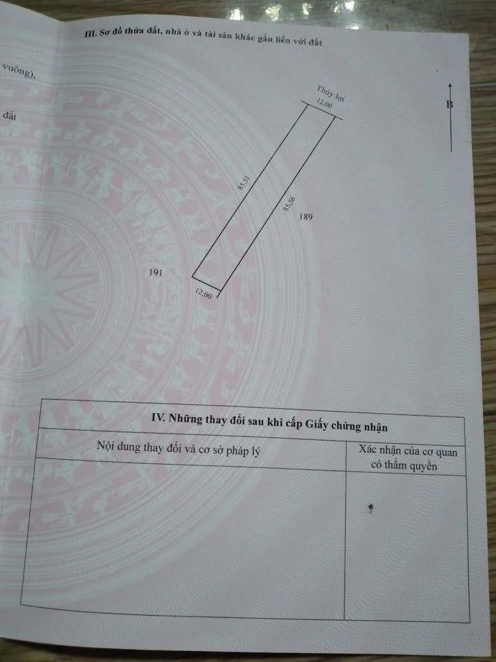 Đất nông nghiệp tại xã Tân Dương, Lai Vung 1000m² giá 850 triệu - Cơ hội đầu tư tuyệt vời!