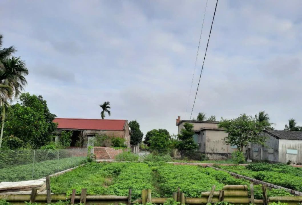 Đất nền Đông Cường, Thái Bình 161m² giá chỉ từ 1 tỷ - Chính chủ cần bán gấp!