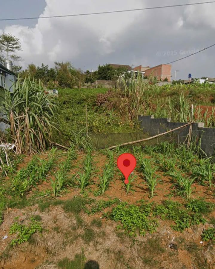 Đất thổ cư Mặt tiền Phó Đức Chính, Bảo Lộc 100m² giá 1.29 tỷ - Cơ hội đầu tư lý tưởng!