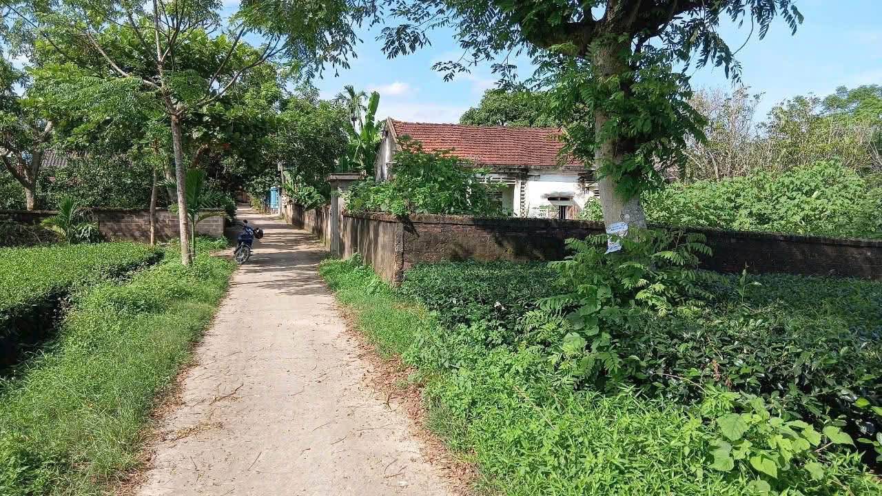 Đất nghỉ dưỡng Thanh Sơn, Phú Thọ 1.335m² giá 2 tỷ - Cơ hội đầu tư hấp dẫn!