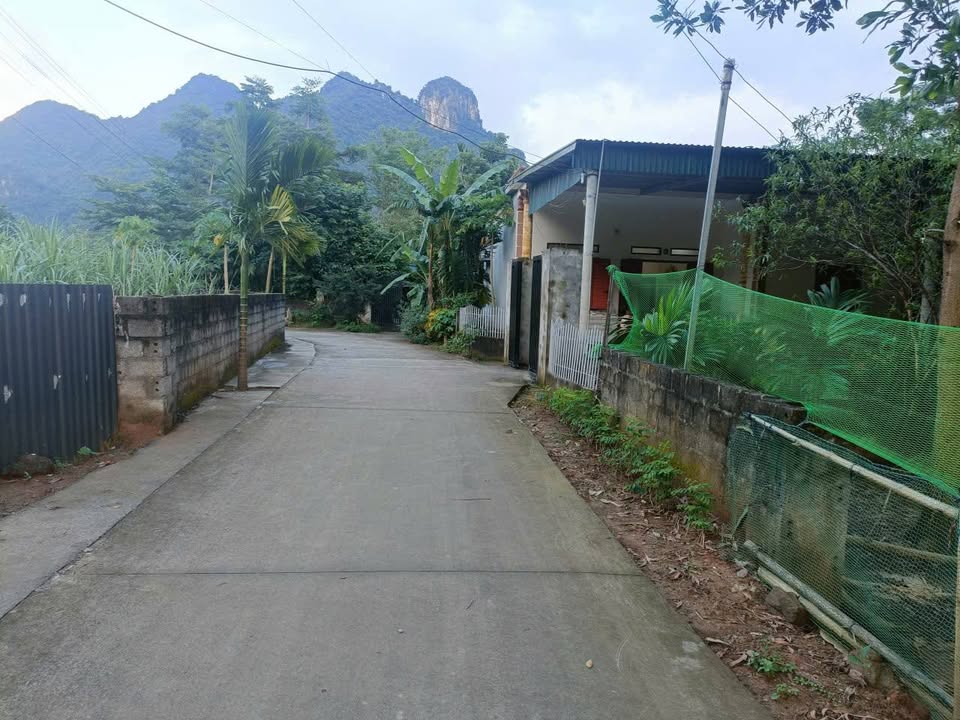 Đất nền thổ cư 136m² tại thôn Trâm, Hưng Thi, Lạc Thủy chỉ 300 triệu - Đầu tư sinh lời ngay!