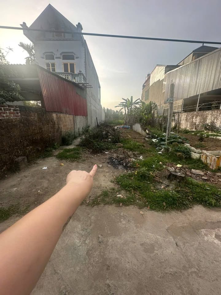 Đất nền Cổ Đông, Sơn Tây 226.4m² - Giá thỏa thuận hấp dẫn!