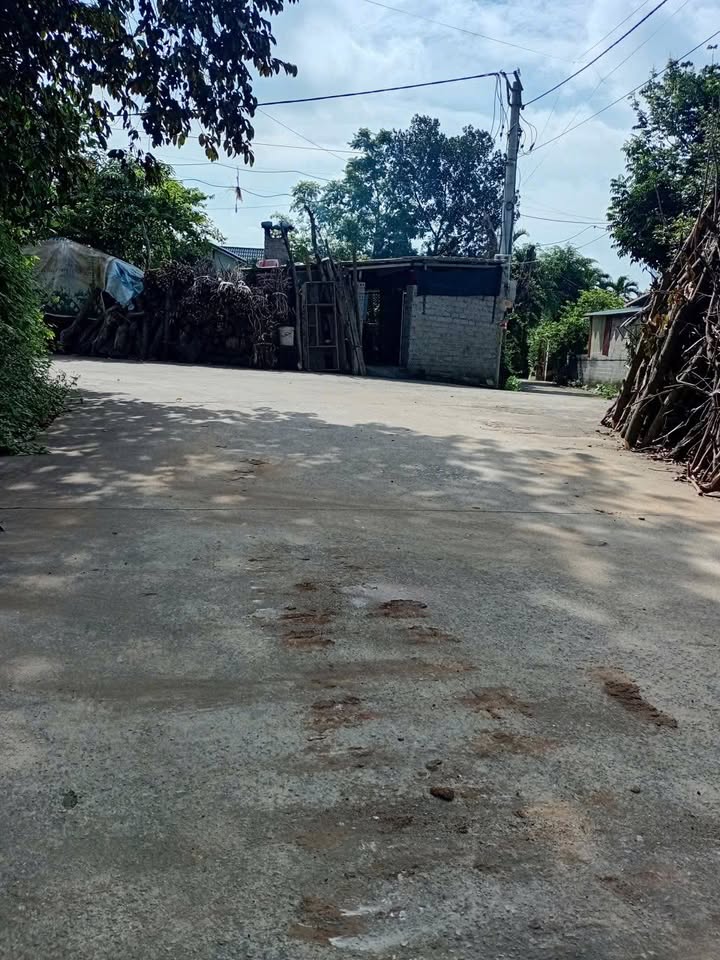 Đất thổ cư Đoài Phương Sơn Tây 164m² giá 1.1 tỷ - Cơ hội đầu tư hấp dẫn!