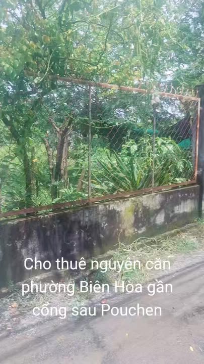 Nhà cho thuê tại phường Biên Hòa 84m² giá 3 triệu - Khu vực an ninh yên tĩnh!