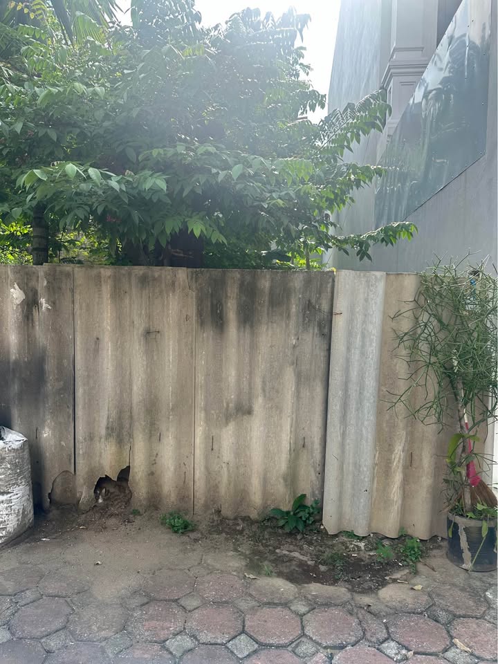 Đất nền Ngọc Thụy Long Biên 50m² giá 8.8 tỷ - Cơ hội đầu tư hiếm có!