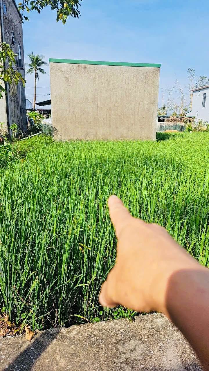 Đất nền chính chủ tại Nghi Kim, Vinh 90,3m² - Vị trí đắc địa gần nhiều tiện ích!