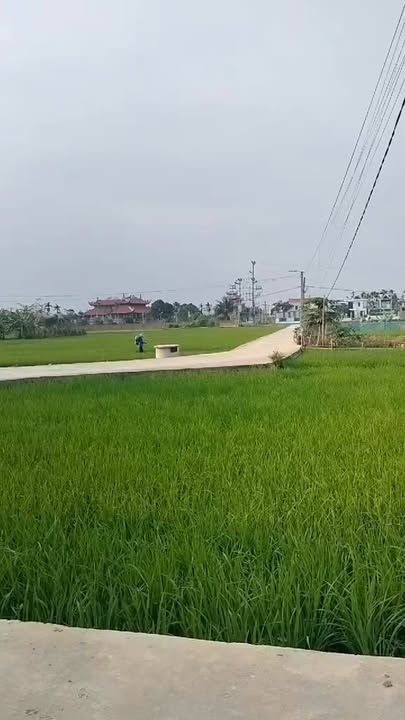 Nhà cấp 4 Hoa Động 62.5m² giá chỉ 1 tỷ - Thiết kế sang trọng, tiện nghi