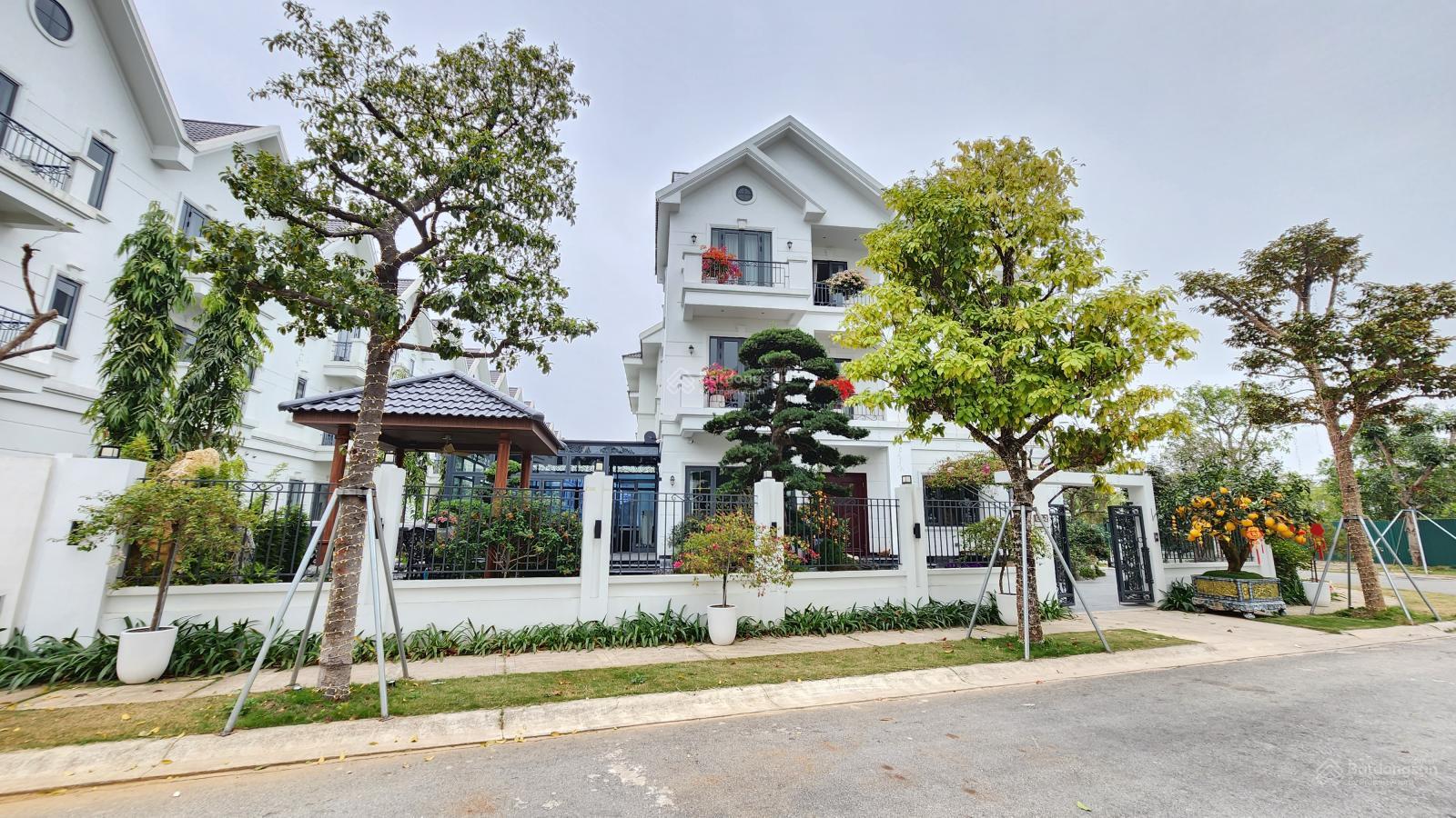 Biệt thự đơn lập lô góc Times Garden Vĩnh Yên 289m² - Siêu vip, giá thương lượng!