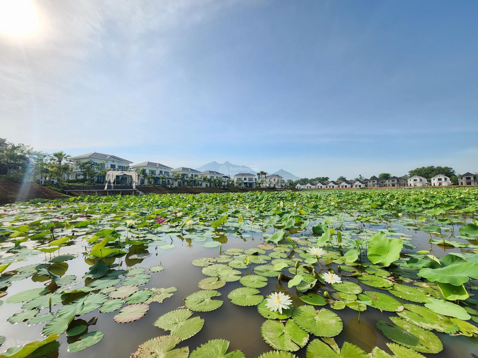 Biệt thự nghỉ dưỡng Vườn Vua Thanh Thủy 323m² - Giá cạnh tranh nhất thị trường!