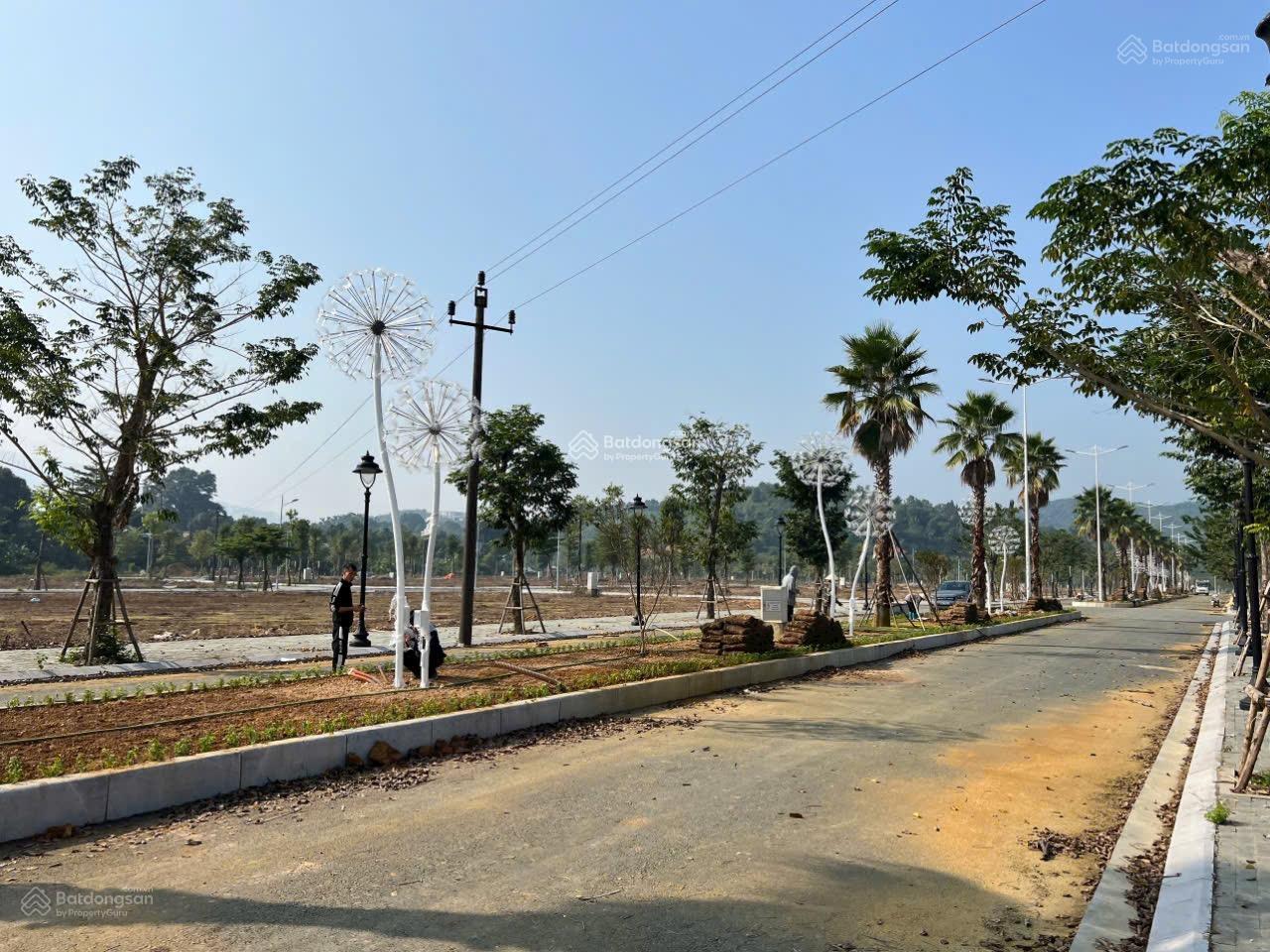 Đất nền Centre Ville Lương Sơn 100m² giá 1,95 tỷ - Chính chủ cần bán gấp!