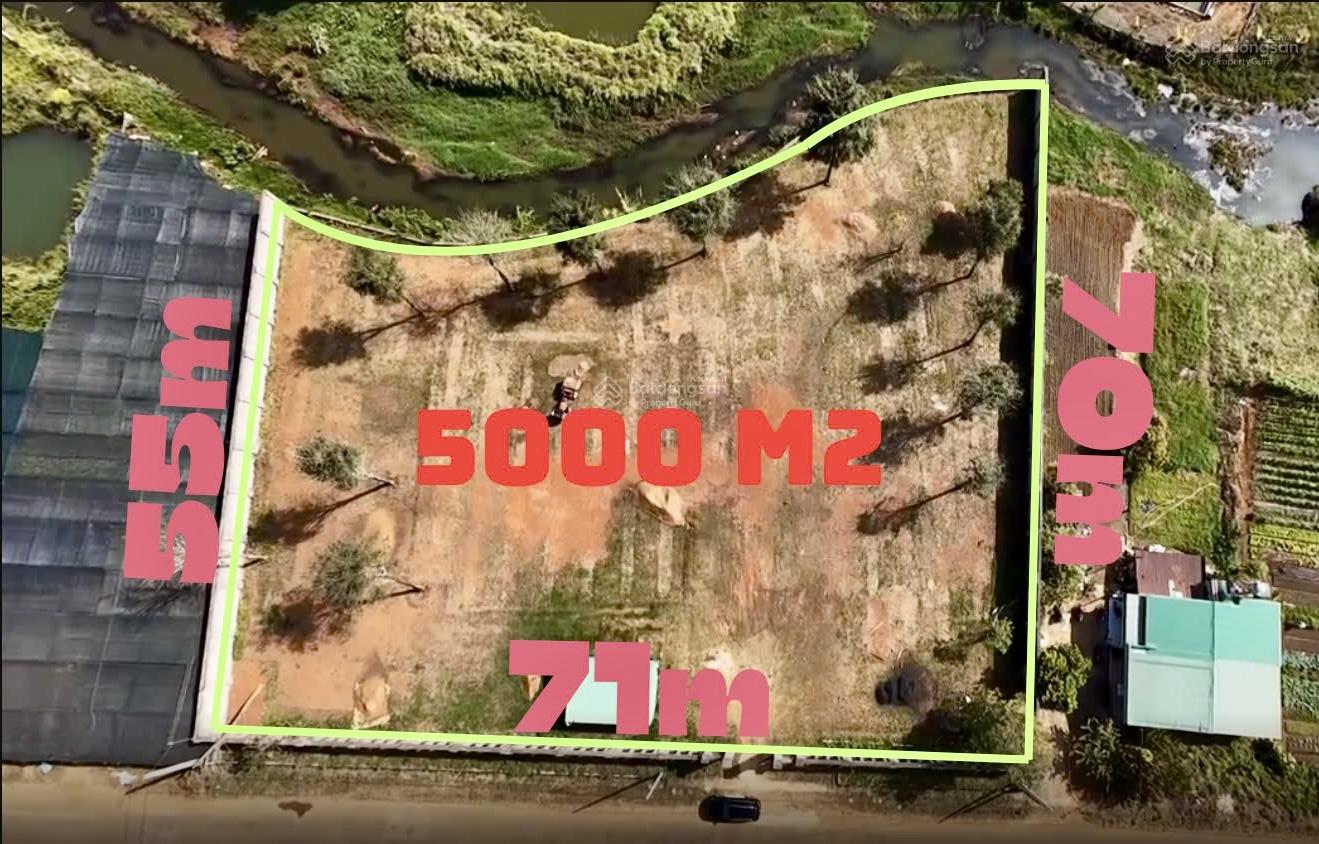 Đất nghỉ dưỡng 5.000m² tại Nam Phương City, Bảo Lộc - Giá chỉ 25 tỷ, tiềm năng sinh lời cao!