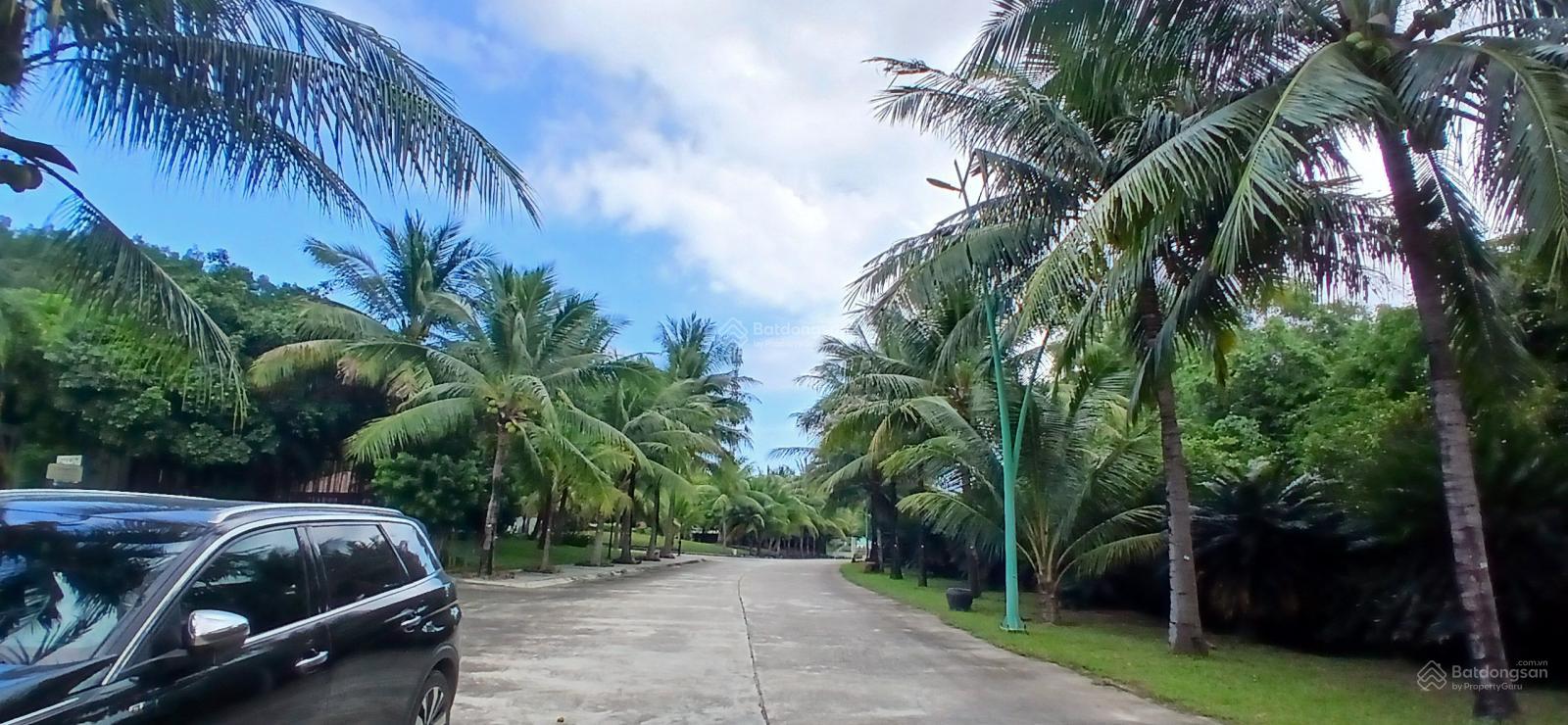 Bán lô biệt thự 551m² Giáng Hương Villa giá 20 triệu/m² - Cơ hội đầu tư hiếm có!