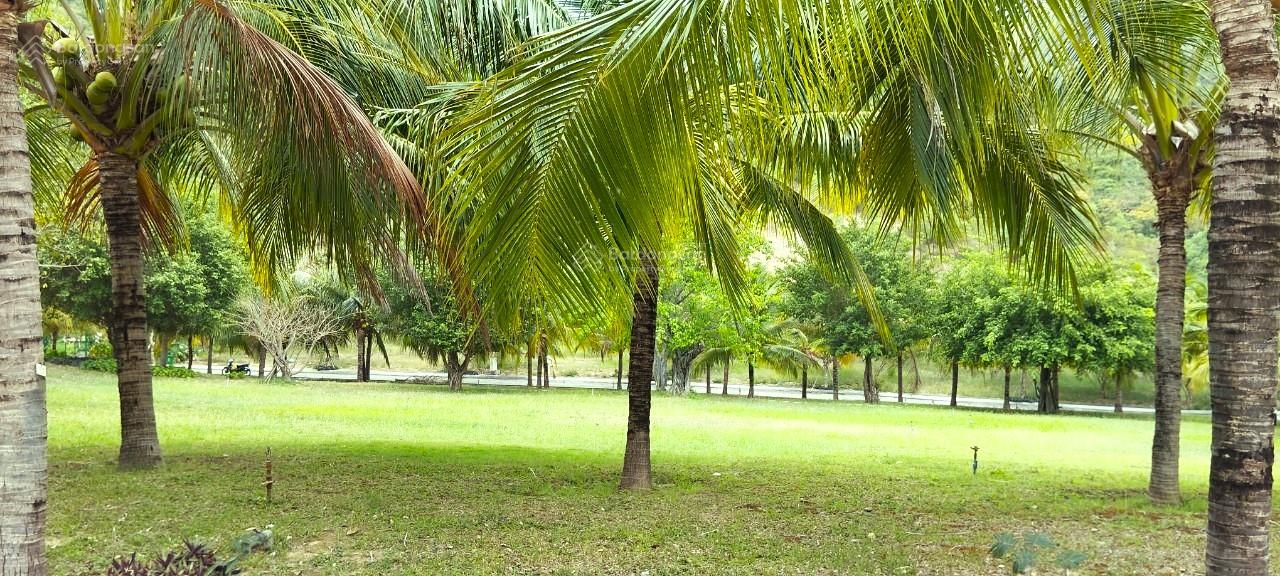 Villas Giáng Hương Vĩnh Thái 550m² - Khu vực an ninh yên tĩnh, gần biển