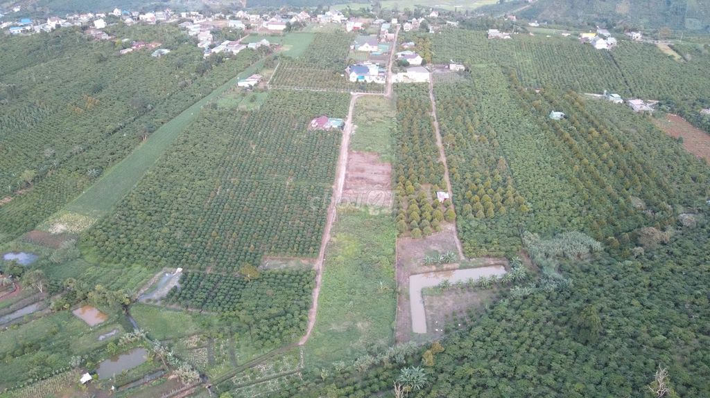 Đất nền Tân Châu 4500m² giá 45 tỷ - Vị trí đẹp, gần QL20, đầu tư sinh lời!