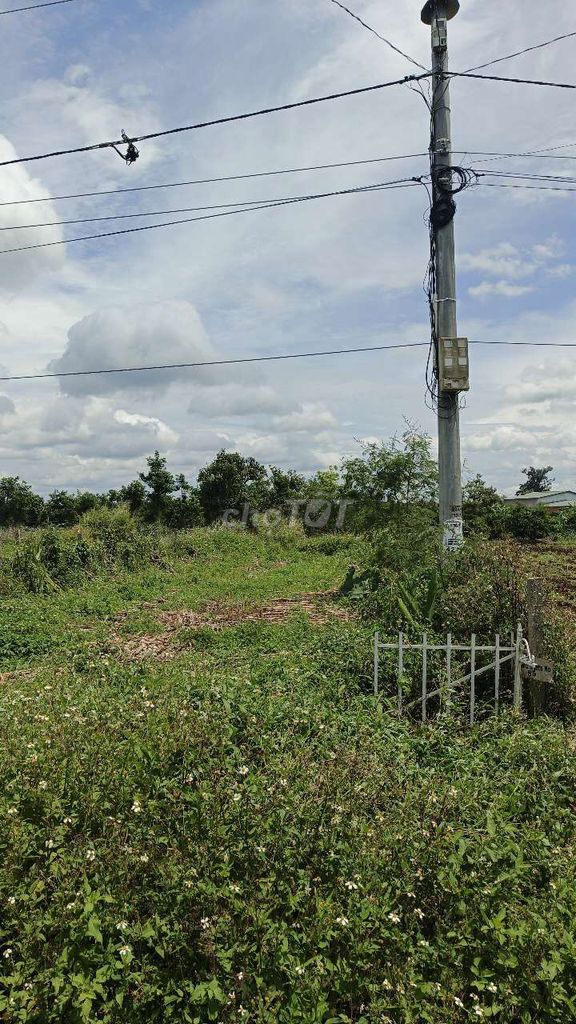 Đất mặt tiền đường liên xã Ea Drông 60m² giá chỉ 445 triệu - Cơ hội đầu tư tuyệt vời!