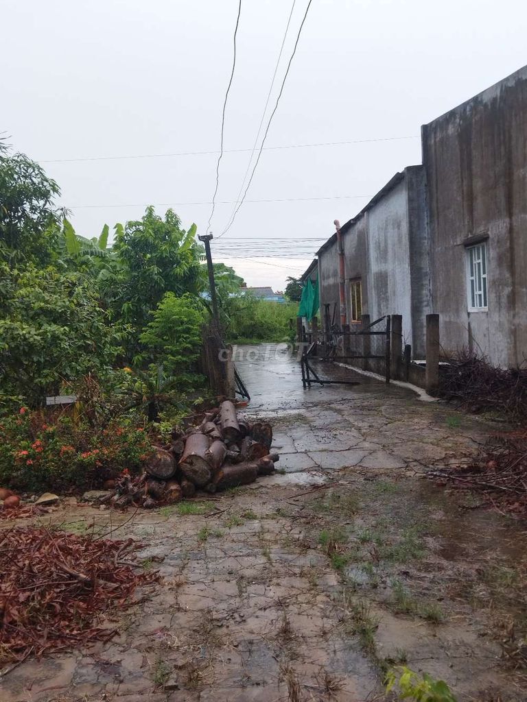 Đất thổ cư Cần Đước Long An 1400m² giá 10 tỷ - Sổ hồng chính chủ, thương lượng