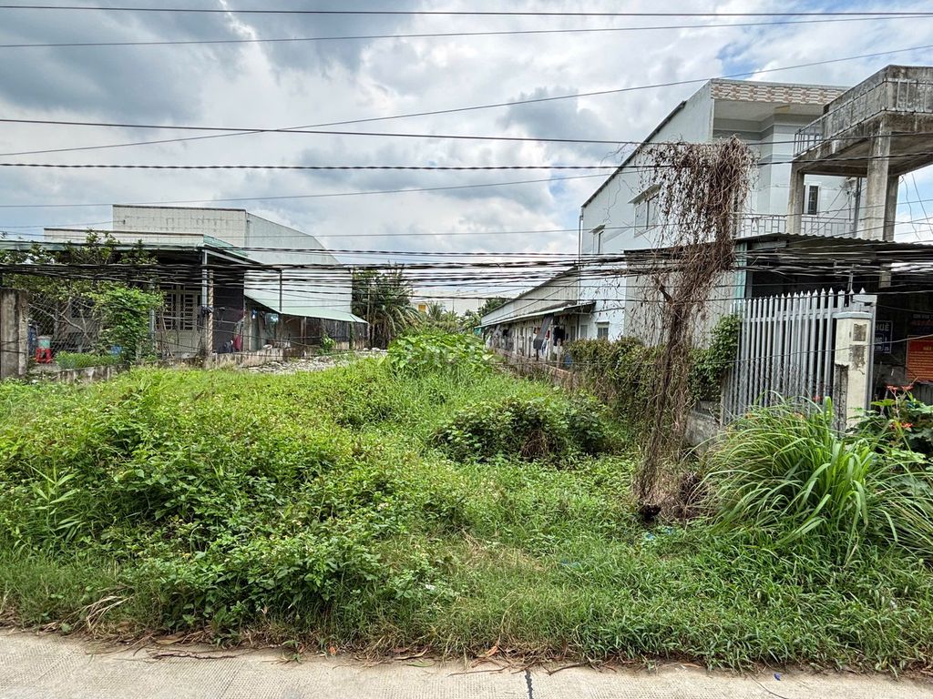 Đất thổ cư và đất vườn Lương Bình, Bến Lức 560m² giá 900 triệu - Sổ riêng chính chủ!