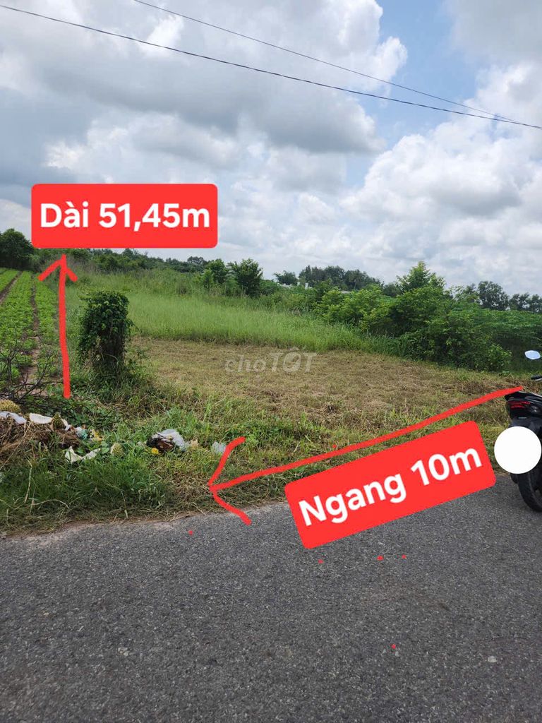 Đất sổ đỏ 514.1m² Phước Thạnh, Gò Dầu, Tây Ninh - Chính chủ, giá tốt chỉ 1.25 tỷ!