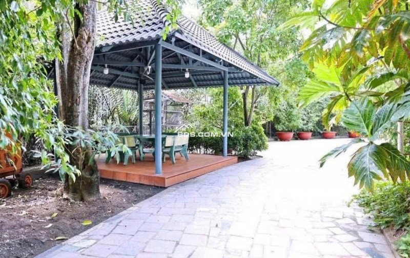 Nhà vườn rộng 2100m² tại Chơn Thành, giá 710 triệu - Cơ hội đầu tư hấp dẫn!