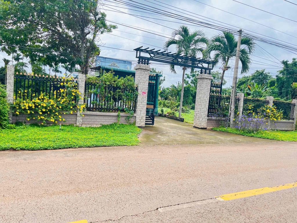 Đất mặt tiền đường Lai Uyên 1200m² giá 679 triệu - Thương lượng ngay!