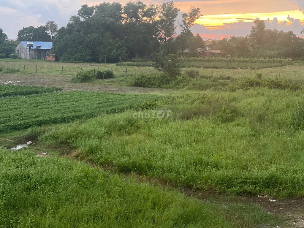 Đất nền Đức Hòa Long An 18.224m² giá chỉ 14 tỷ - Cơ hội đầu tư tuyệt vời!