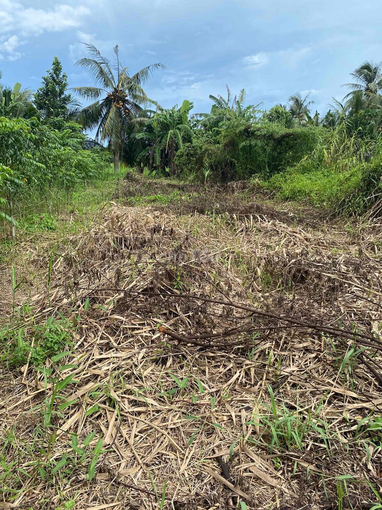 Đất thổ Long Phước 222m² giá 999 triệu - Pháp lý rõ ràng và tiềm năng sinh lời!