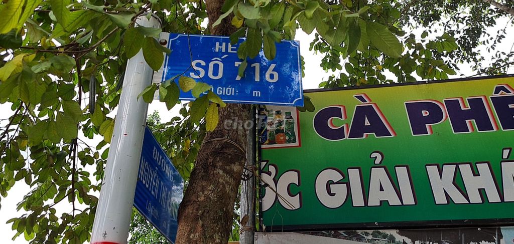 Cho thuê đất nông nghiệp tại Củ Chi 2500m² - Giá chỉ 10 triệu