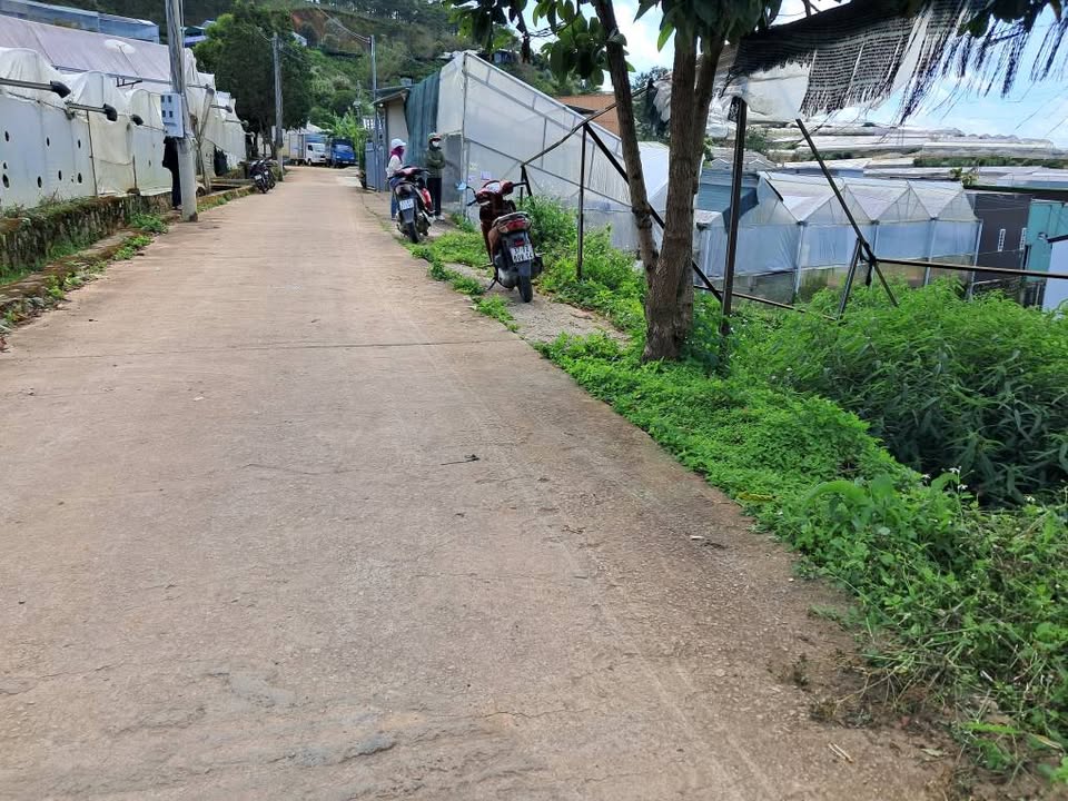 Đất nông nghiệp Hòn Bồ Thái Phiên, Đà Lạt 500m² giá chỉ 5.2 tỷ - Tiềm năng phát triển vượt trội!