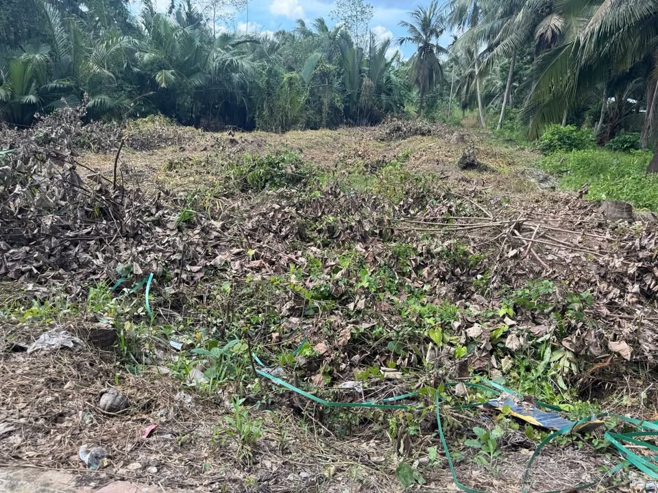 Đất nền Lộc Thuận, Bình Đại 715m² giá 650 triệu - Cơ hội đầu tư tuyệt vời!