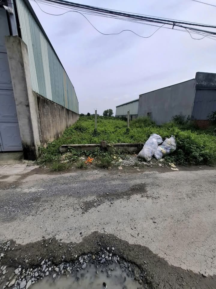 Đất mặt tiền nhựa Tân Thạnh Đông 216m² giá chỉ 1.95 tỷ - Đầu tư sinh lời ngay!