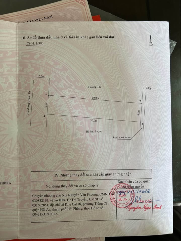 Đất mặt tiền đường Thành Tô, Tràng Cát, Hải Phòng 180m² - Cơ hội đầu tư sinh lời!