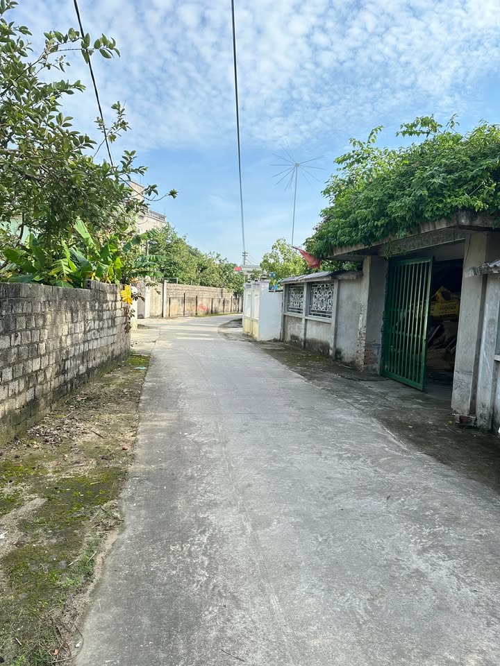 Đất đẹp 300m² tại phường Nam Sầm Sơn, giá chỉ hơn 1 tỷ - Cơ hội đầu tư tuyệt vời!