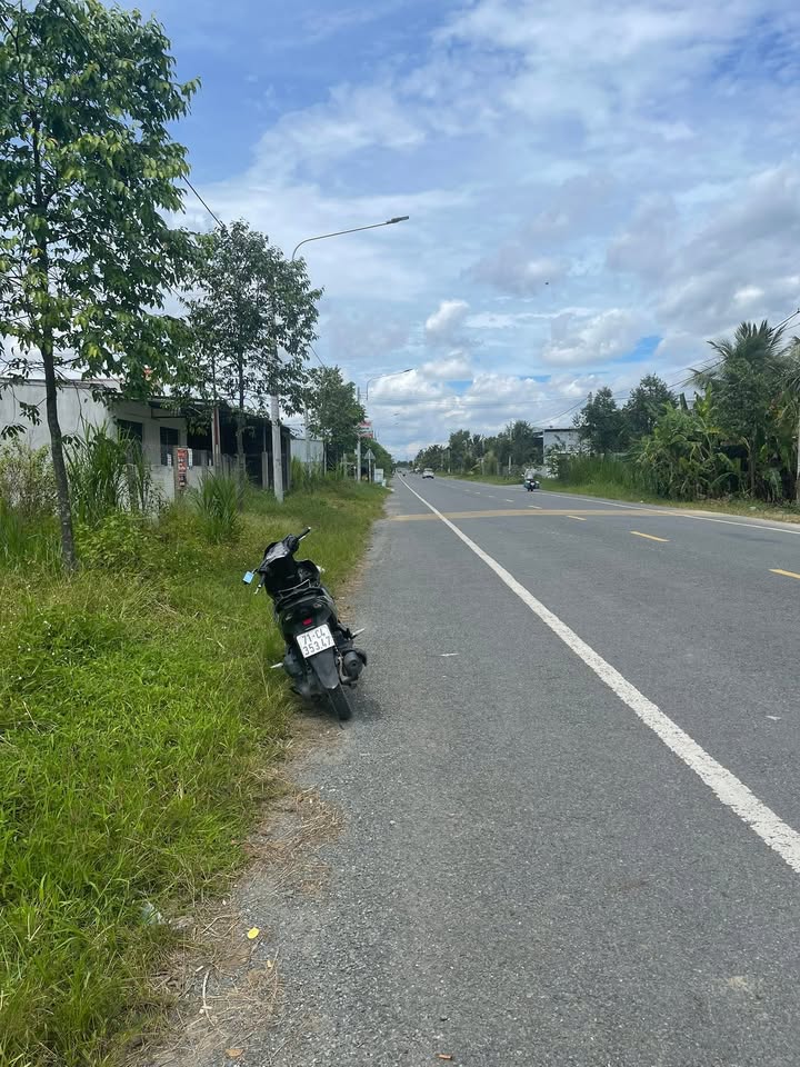 Đất nền chính chủ 1965m² mặt tiền đường Sơn Đông - Cơ hội đầu tư tuyệt vời!