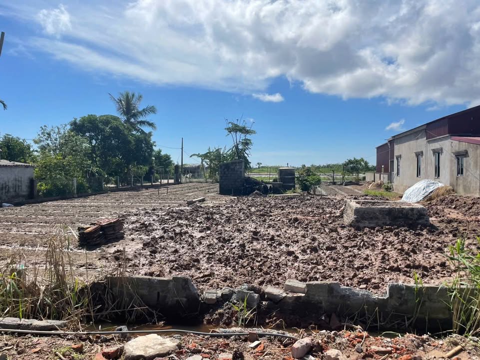 Đất nền Xóm 7, Nam Điền, Nghĩa Hưng 187m² giá 125 triệu - Cơ hội đầu tư hiếm có!