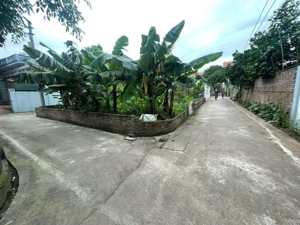 Đất Lô Góc 60m² Thôn Vĩnh Thượng, Phú Xuyên - Ô Tô Tải Vào Tận Đất!