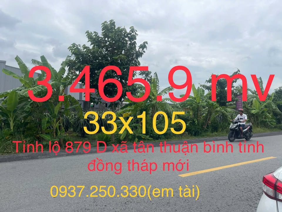 Đất nền mặt tiền tỉnh lộ 879 D, xã Tân Thuận Bình, 3.456,9m² giá 12 tỷ - Cơ hội đầu tư lý tưởng!