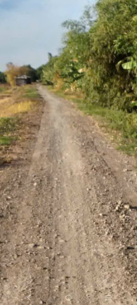 Đất nông nghiệp 51 công tại Thanh Bình, Đồng Tháp - Giảm giá sốc chỉ 165 triệu!