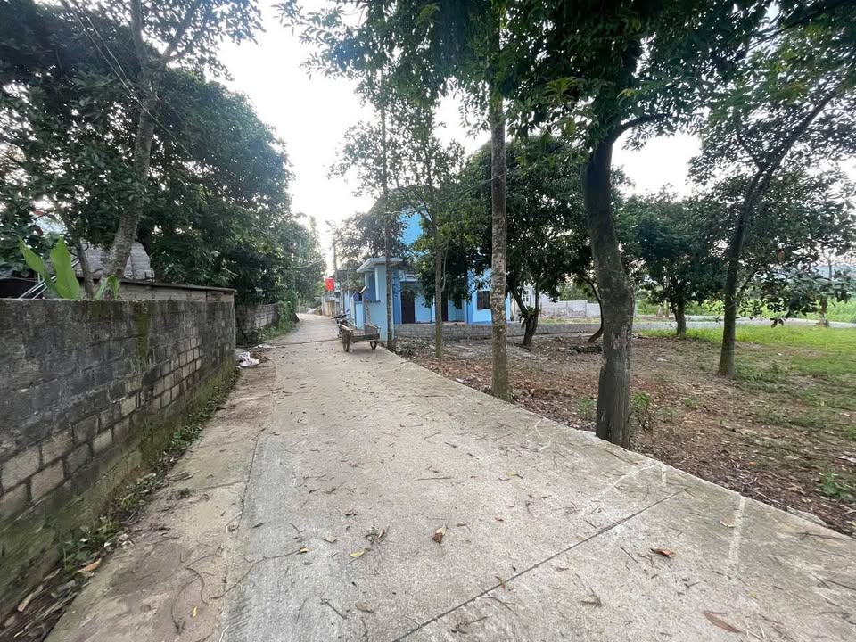 Đất Vân Hòa, Ba Vì 700m² giá 4 tỷ - Sổ đỏ chính chủ sẵn sàng giao dịch!