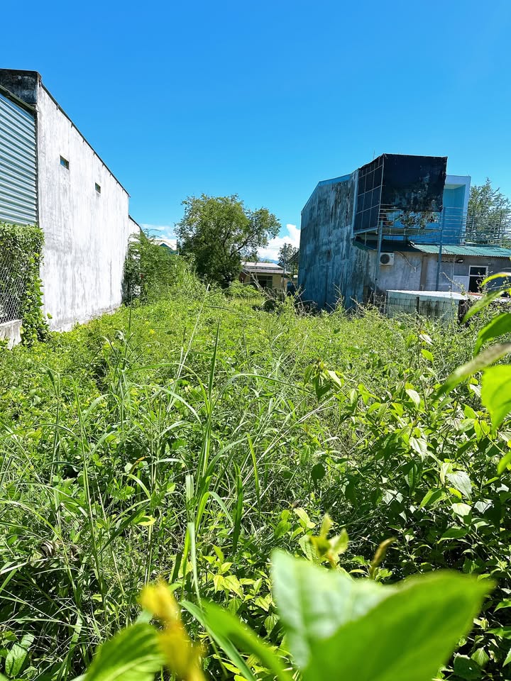 Đất thổ cư Lương Sơn, Ninh Sơn 236m² giá 1.652 tỷ - Cơ hội đầu tư tuyệt vời!