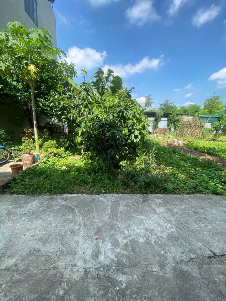 Đất Nền Ninh Xá, Thuận Thành 72m² giá 1 tỷ - Tiềm năng sinh lời cao!