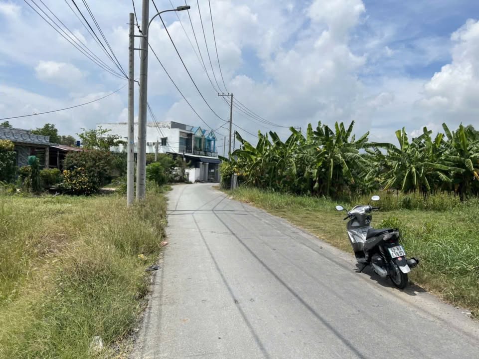 Đất nền Hưng Long, Bình Chánh 5000m² giá 19 tỷ - Cơ hội đầu tư hấp dẫn!